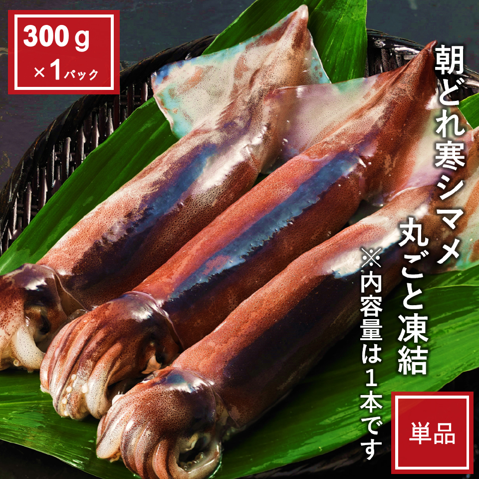 朝どれ寒シマメ丸ごと凍結　300g